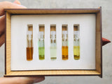 Discovery Samples Box🎁(Top 5x Premium Grade Perfume Oil 1.2ml Each of your choice!)🥇