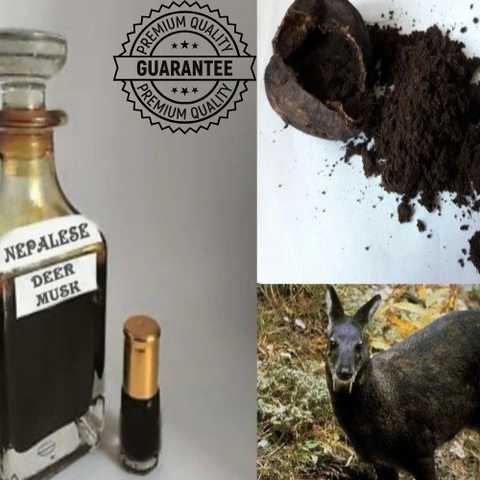 Authentic (Wild Nepalese Pheromones Kasturi) Real Black Deer Musk Nafa Pheromones Kasturi Oil | All Sizes!🇳🇵🥇