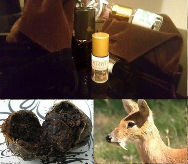 Authentic (Wild Indian Pheromones Kasturi) Real Black Deer Musk