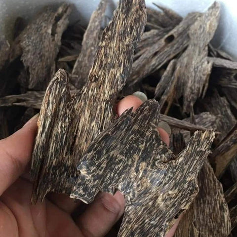 Agarwood Chips Tütsü Aloeswood Vahşi Sınıf Doğal Agarwood Chip | Quang Nam Agarwood Chips - Sınıf AAA, Doğal Agarwood Chip, Vietnam Chips, Ud Chips (10g)🪵🥇