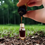 50 años de edad/envejecido grueso hindi Kalakassi Oud | Madera de agar Kalakassi hindi oscuro | ¡El mejor aceite de Oud espeso - 3ML!🥇
