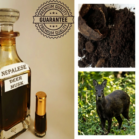Authentic (Wild Nepalese Pheromones Kasturi) Real Black Deer Musk Nafa Pheromones Kasturi Oil | All Sizes!🇳🇵🥇