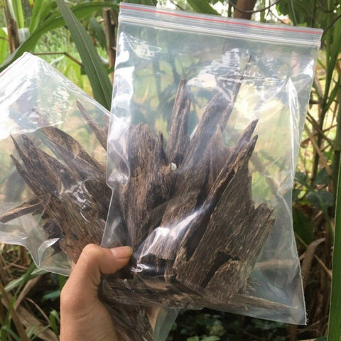 Agarwood Chips Incense Aloeswood Wild Grade Natural Agarwood Chip | Genuine Agarwood Directly From Quang Nam Province of Vietnam Natural Ant Wood Grade A++ (50g)🪵🥇