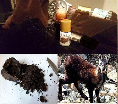 Authentic (Wild Central Asian Kasturi) Real Deer Musk Nafa Pheromones Attar Oil 3ML+More!