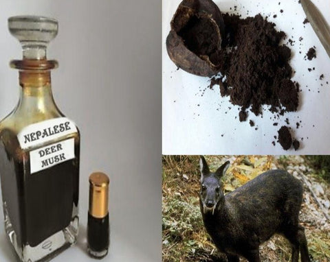 Authentic (Wild Nepalese Kasturi) Real Black Deer Musk Nafa Pheromones Attar Oil 3ML+More!