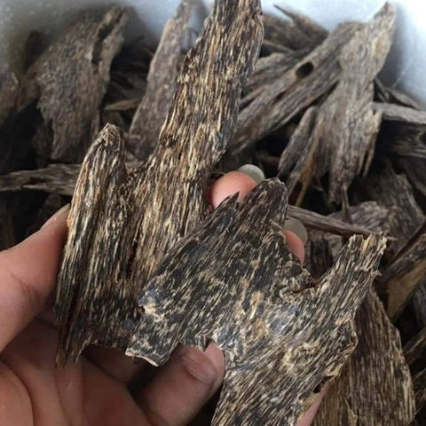 Agarwood Chips Incense Aloeswood Wild Grade Natural Agarwood Chip | Quang Nam Agarwood Chips - Grade AAA, Natural Agarwood Chip, Vietnamese Chips, Oud Chips (10g)🪵🥇