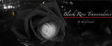 Black Rose Transcendence By Sharif Laroche - Sharif Laroche Special Edition!